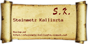 Steinmetz Kalliszta névjegykártya